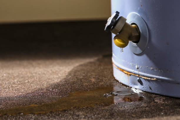 Best Flooded house restoration  in Fredonia, KS