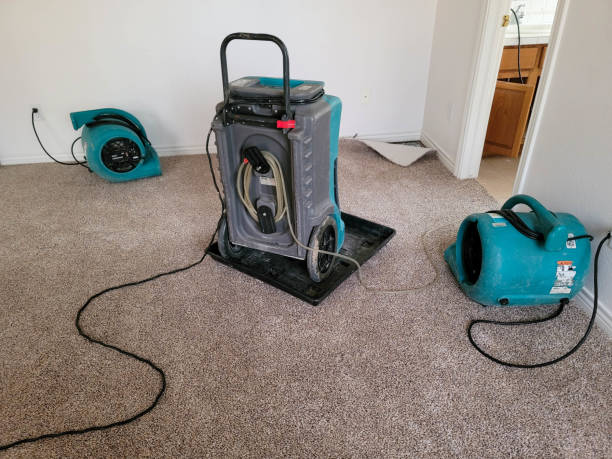Best Flooded house restoration  in Fredonia, KS