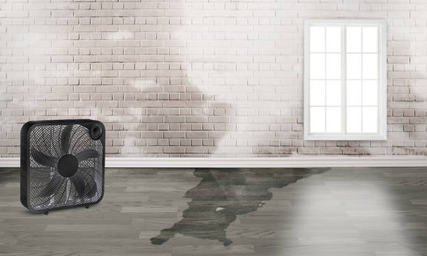 Best Professional water damage repair  in Fredonia, KS