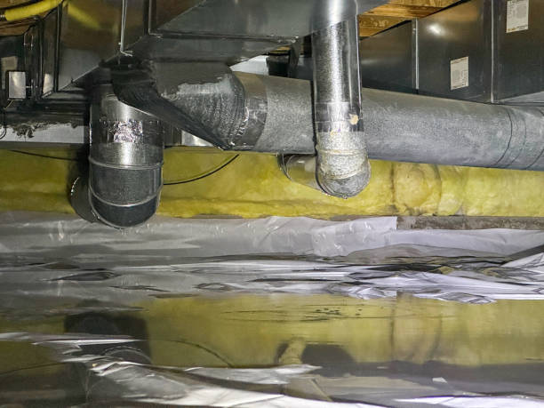 Best Mold removal after water damage  in Fredonia, KS
